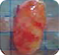 Fat Gel